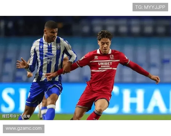 米德尔斯堡足球俱乐部的辉煌历程与未来发展潜力分析