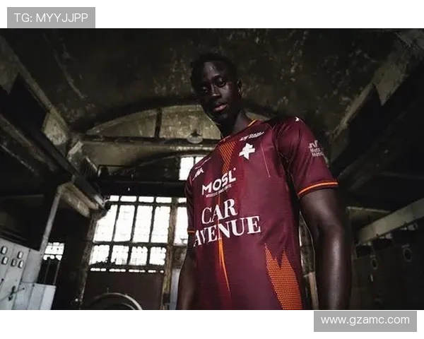 梅斯俱乐部：探索法国足球历史中的一颗璀璨明珠与辉煌成就