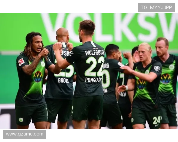 沃尔夫斯堡足球俱乐部的发展历程与未来展望分析