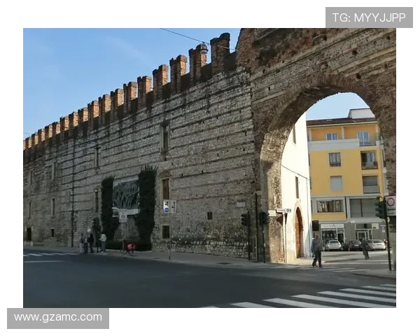 维罗纳俱乐部重塑荣耀之路探秘意大利足球传统与现代融合