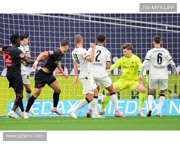 霍芬海姆1899俱乐部崛起之路与德甲新贵崭露头角的辉煌历程